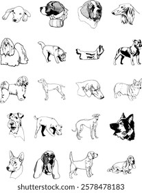 High-quality, scalable dog vector images