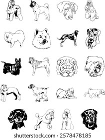 High-quality, scalable dog vector images