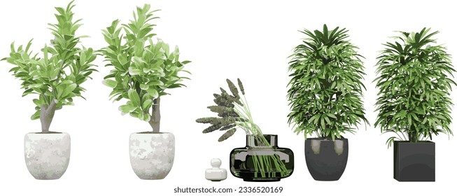 High-Quality Transparent PNG Images for Graphic Design
