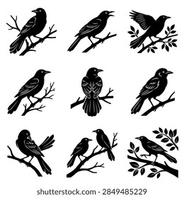 A high-quality vector artwork of a Common Grackle, showcasing its iconic iridescent feathers and bright yellow eyes. The bird is depicted in a natural profile view, perching on a textured tree branch, suitable for scientific or nature-themed design projects.