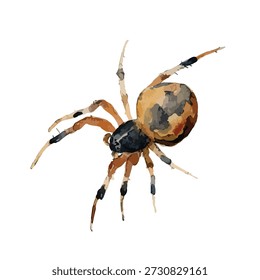 Gráfico de Vector de alta calidad de una araña marrón, ideal para la naturaleza, Halloween o proyectos educativos. Aislado sobre fondo transparente.