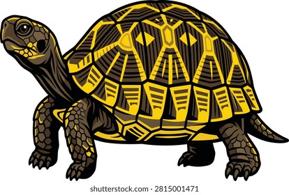 A high-quality vector graphic of a terrestrial tortoise featuring a detailed yellow and brown patterned carapace. This versatile illustration is perfect for wildlife education materials, nature conservation designs, and animal-themed branding projects.