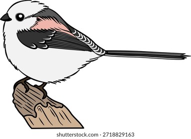 Ilustración vectorial de alta calidad de una linda teta de cola larga (Shima Enaga) posada en una rama. Diseño aislado para la naturaleza, la vida silvestre y proyectos educativos.