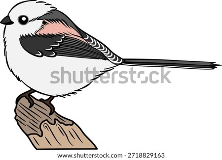 High-quality vector illustration of a cute long-tailed tit (Shima Enaga) perched on a branch. Isolated design for nature, wildlife, and educational projects.