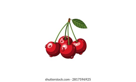 A high-quality vector illustration featuring a cluster of four ripe red cherries attached to green stems with a single leaf. The cherries have a glossy appearance with realistic water droplets, set against a clean, minimalist white background.