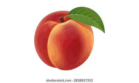 A high-quality vector illustration featuring a single ripe peach with a soft, velvety texture in shades of orange and pink. The fruit is accompanied by a fresh green leaf attached to a small stem, set against a clean white background. Ideal for grocery, wellness, or culinary design projects.