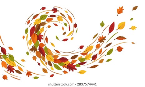 A high-quality vector illustration featuring various colorful autumn leaves scattered and blowing through the air. The design includes a mix of maple, oak, and birch leaves in vibrant shades of red, orange, and yellow, arranged in a dynamic swirling pattern to simulate a breeze. This versatile asset is ideal for fall-themed marketing materials, Thanksgiving decorations, and seasonal nature concepts.