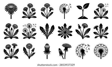 A high-quality vector illustration featuring vibrant yellow dandelion blossoms at various stages of bloom, accompanied by detailed green serrated leaves and sturdy stems, set against a clean white backdrop for easy integration.