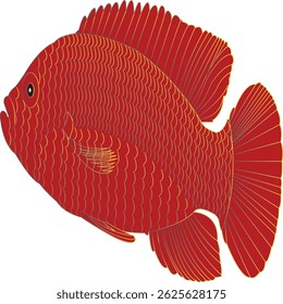 A high-quality vector illustration of a fish, designed with clean lines and vibrant colors. This fish artwork is perfect for ocean-themed designs, aquatic education materials, fishing brand logos, chi