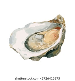 High-quality vector illustration of a fresh, raw oyster, ideal for gourmet seafood menus, restaurant branding, and healthy food concepts.