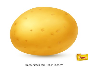 High-quality vector illustration of a fresh yellow potato with natural texture and soft shadow. Isolated on white background. Ideal for food packaging, farming, cooking, and healthy eating concepts
