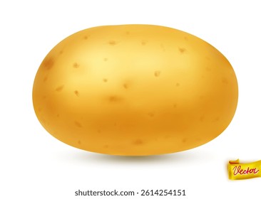 High-quality vector illustration of a fresh yellow potato with natural texture and soft shadow. Isolated on white background. Ideal for food packaging, farming, cooking, and healthy eating concepts