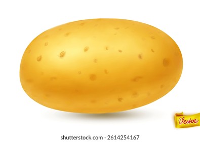 High-quality vector illustration of a fresh yellow potato with natural texture and soft shadow. Isolated on white background. Ideal for food packaging, farming, cooking, and healthy eating concepts