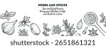 High-quality vector illustration of herbs and spices in vintage engraving style. Intricate black and white hand-drawn elements, ideal for premium packaging, branding, and culinary projects.