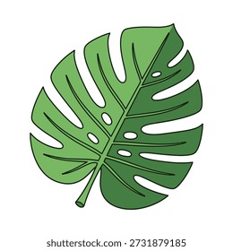 Ilustración vectorial de alta calidad de una Grande y exuberante hoja tropical. Perfecto para diseños inspirados en la naturaleza, gráficas de Web y medios impresos.