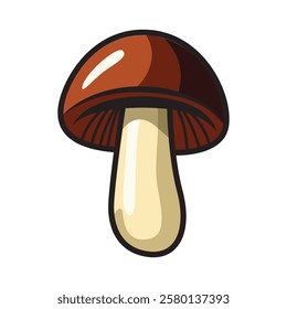 A high-quality vector illustration of a mushroom, featuring a smooth cap and a sturdy stem with natural textures and shading. 