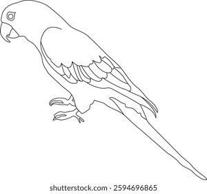 A high-quality vector illustration of a parrot perched on a branch, showcasing its vibrant plumage, curved beak, and expressive eyes