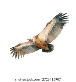 Hochwertige Vektorgrafik eines mächtigen Geiers im Flug, Flügel weit verbreitet. Ideal für Tierwelt, Natur und Naturschutz.