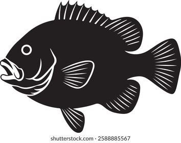 High-quality vector illustration of a realistic **Tilapia fish**. Perfect for use in culinary, seafood, aquatic life, and commercial design projects, offering crisp and scalable artwork.