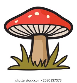 A high-quality vector illustration of a red fly agaric mushroom (Amanita muscaria), featuring a vibrant red cap adorned with white spots and a thick, sturdy stem.