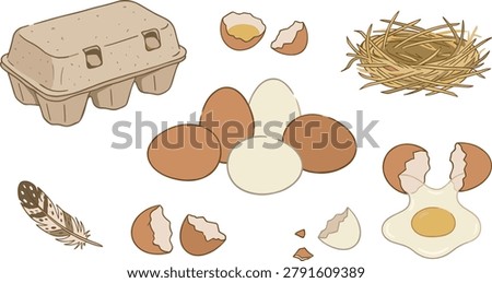 A high-quality vector illustration set detailing a variety of farm-fresh chicken egg elements designed in a clean, stylized flat aesthetic with warm hand-drawn outlines. The comprehensive collection features a central pile of whole brown and white eggs, a closed cardboard pulp egg carton, a rustic straw bird nest, an empty cracked shell, a raw egg sliding open with a distinct yolk, scattered eggshell fragments, and a patterned bird feather. This versatile commercial asset is perfectly optimized for organic farm branding, baking blog graphics, breakfast restaurant menus, grocery store advertisements, and nutritional agriculture infographics.