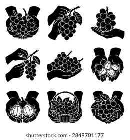A high-quality vector illustration showcasing a cluster of fresh longkong fruit, a popular tropical delicacy in Southeast Asia. The design features realistic details of the pale brownish-yellow skin and vibrant green leaves, making it ideal for food packaging, botanical educational materials, and culinary-themed graphic design projects.