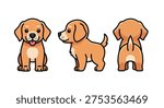 High-quality vector illustration showing an adorable golden puppy character from three angles. Ideal for pet shops, veterinary clinics, kids brands, stickers, and brand mascot development.