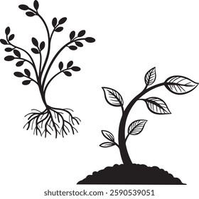 High-quality vector illustration of sprout. Perfect for eco-friendly designs, nature projects, and environmental concepts.