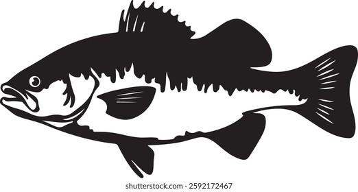 High-quality vector illustration of **Vetki fish** (Barramundi), featuring detailed scales and fins. Perfect for seafood, fishing, aquatic life, branding, and commercial design projects.