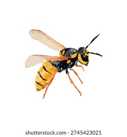 High-quality vector illustration of a vibrant yellowjacket wasp. Ideal for nature projects, pest control, or summer-themed designs. Isolated insect art.
