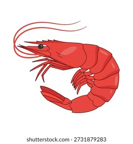 Ilustración vectorial de alta calidad de un camarón rojo vivo, perfecto para diseños culinarios, mariscos y marinos. Ideal para branding, Diseño web y medios impresos.