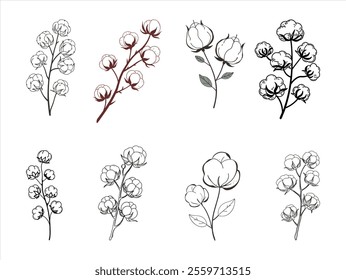 high-quality vector set of dried fluffy cotton flower branches. perfect for botanical designs, rustic decor, Eco-themed projects, and elegant digital artwork. isolated and ready to use.