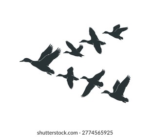 A high-quality vector silhouette of a flock of ducks flying in a classic V-formation. This dynamic illustration captures the essence of bird migration and wildlife in motion. Featuring clean, sharp lines, this graphic is perfect for waterfowl hunting logos, nature conservation branding, outdoor apparel, and wildlife-themed decorative art.