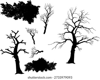 High-quality vector silhouette set featuring a diverse range of tree forms and forest elements. This collection includes meticulously detailed silhouettes of withered dead trees with intricate bare branches, perfect for spooky, gothic, or Halloween-themed projects. Alongside these are lush, leafy bushes and full-foliage tree crowns ideal for natural landscape renderings, architectural site plans, and environmental designs.
