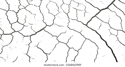 High-Quality Vector Texture with Cracks and Fractures from Earthquake Damage on Land, Floor, and Wall Surfaces in Black, White, and Grey, Ideal for Natural Disaster Simulations and Distressed Backgrou