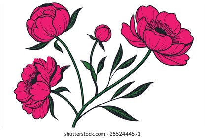 Ilustração botânica de alta resolução de flores de peônia rosa vibrante com folhagem verde exuberante em um fundo branco cristalino - Ideal para projetos florais, projetos temáticos da natureza e criações artísticas