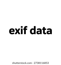 High-resolution digital illustration of exif data with binary code, ideal for technology, metadata, and digital information concepts.