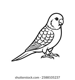 High-resolution image of a budgerigar on a white background, perfect for pet-related projects, bird lovers, nature photography, and digital content creation. Ideal for designers.