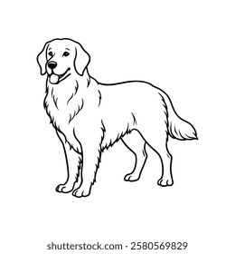 High-resolution image of a golden retriever isolated on a white background. Perfect for pet, animal, and canine-related projects. Ideal for use in blogs, advertisements, educational materials, and dig