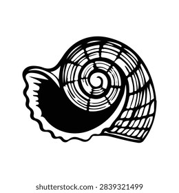 High-resolution image showcasing a nautilus shell with intricate spiral design and textured surface, emphasizing natural geometric beauty.
