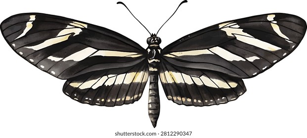 A high-resolution macro shot of a Zebra longwing butterfly with distinct striped wings on white background.