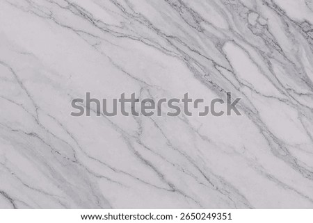 High-resolution white marble texture with soft gray veining. Ideal for backgrounds, product mockups, interior design presentations, and branding. This elegant and minimalistic surface adds a clean, lu