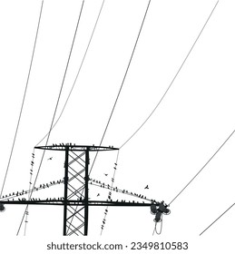 The high-voltage wires with birds sitting on them