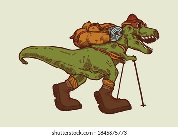 Hiking dino. T-rex dinosaur traveler with a back pack, trekking poles and hiking boots. Isolated vector illustration.