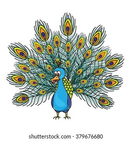 hilarious cartoon peacock on a white background