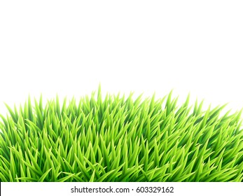 A hill covered with green grass. Vector illustration on white background.