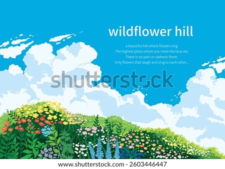 a hill full of clear skies and wild flowers
