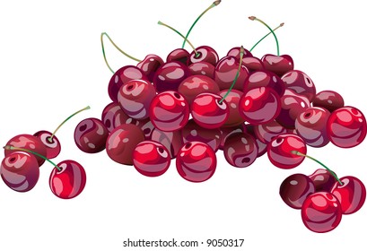 Hill of juicy fresh cherries, illustration, vector