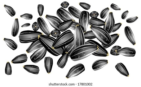 Hill of sunflower seeds, isolated object on white background, illustration