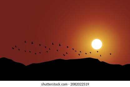 Hill sunset with flying birds in silhouette. Migrating birds at sundown